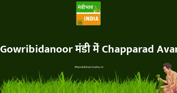 Chapparad Avare भाव